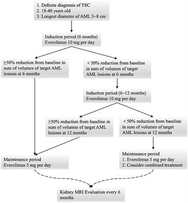 Low-Dose Everolimus Maintenance Therapy for Renal Angiomyolipoma Associated With Tuberous Sclerosis Complex